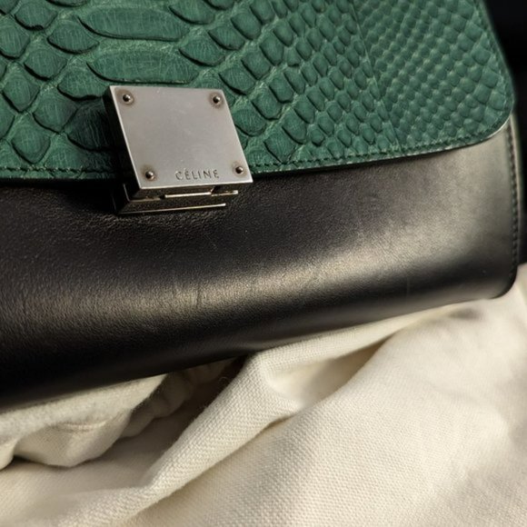 Celine Medium Python Trapeze Bag - Picture 15 of 16